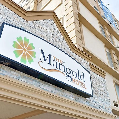 The Marigold Hotel ブランプトン エクステリア 写真