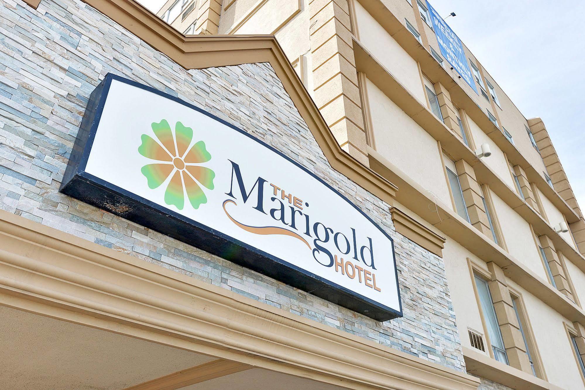 The Marigold Hotel ブランプトン エクステリア 写真
